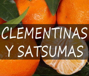 Clementinas